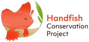 Handfish Conservation Project